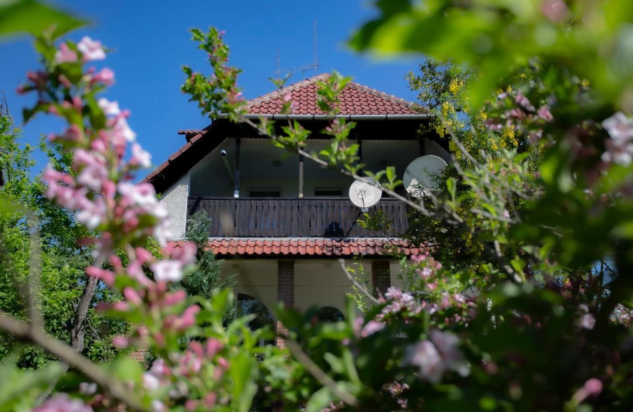 Bed and Breakfast Alabástrom Panzió és Étterem Bogács Esterno foto